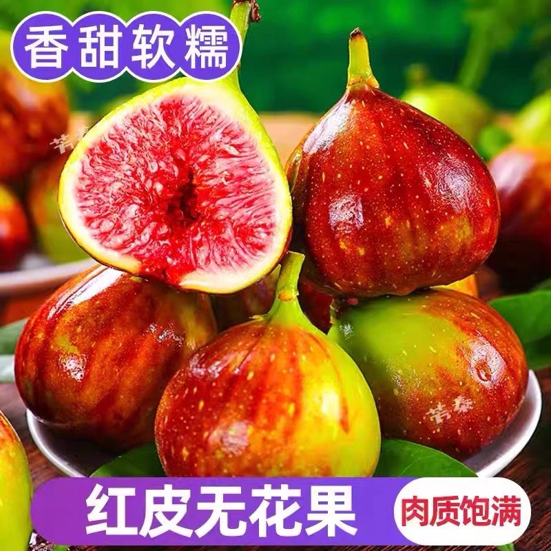 云南新鲜红皮现摘无花果当季代发应季整箱批发紫皮鲜果孕妇水果,水产肉类/新鲜蔬果/熟食,无花果,淘宝优惠券,粉丝福利购,淘宝优惠卷