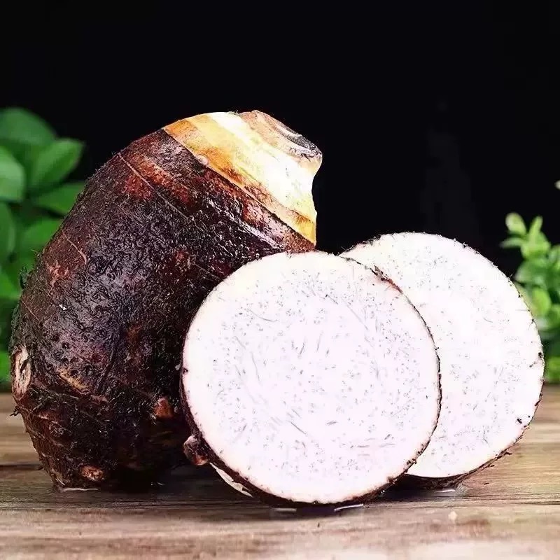 【荔浦】粉糯大芋头荔浦广西正宗桂林芋头新鲜槟榔芋头大芋头商用