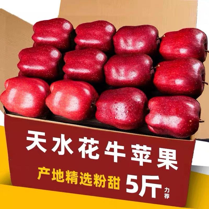 【2025新果】甘肃天水花牛苹果当季婴儿辅食粉面苹果正宗花牛苹果,厨房/烹饪用具,调料置物架,淘宝优惠券,粉丝福利购,淘宝优惠卷