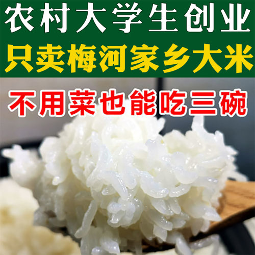 东北梅河秋田小町珍珠米厂家直销