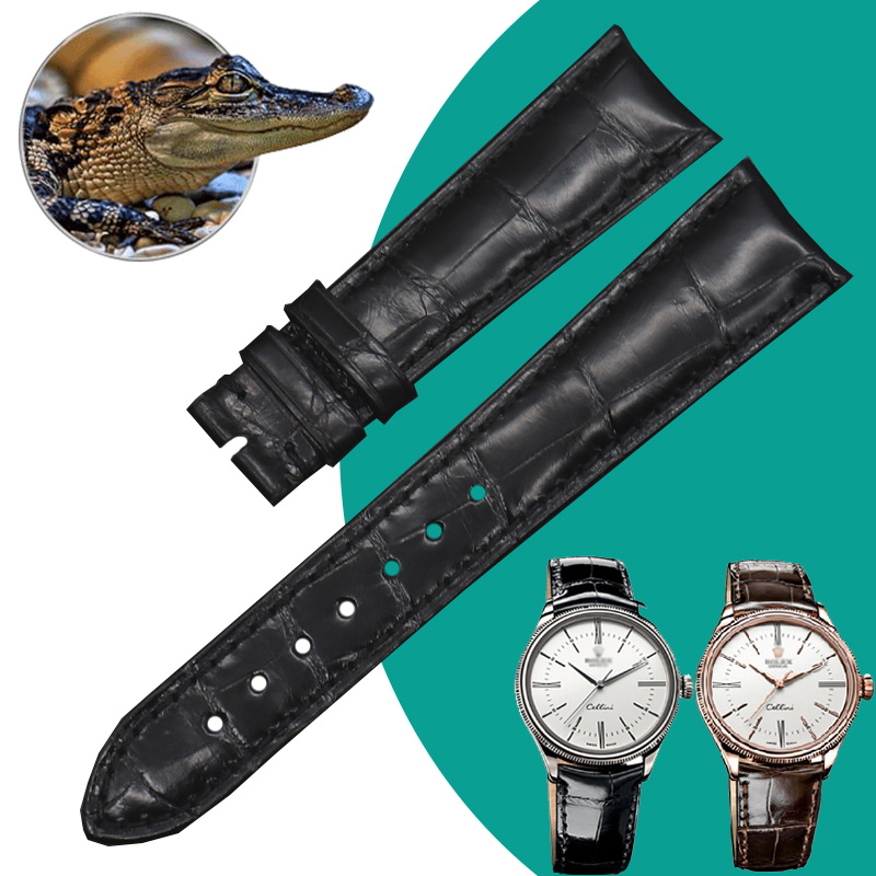 适用劳力士切利尼美洲鳄鱼皮表带