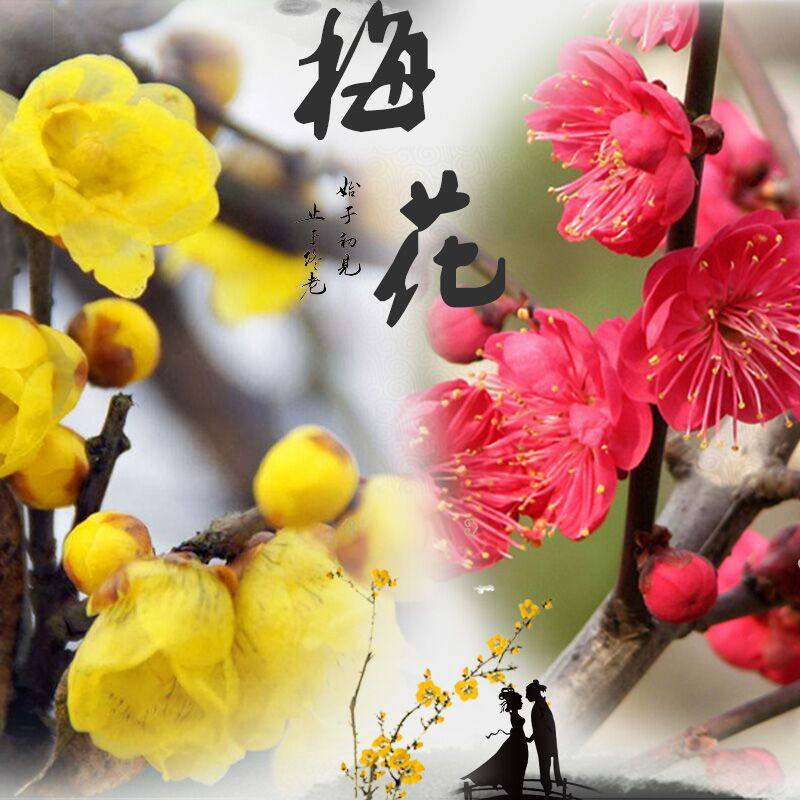 网友分享在meiguo.com的图片