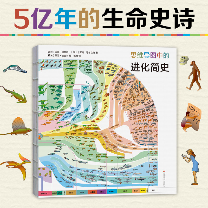 思维导图中的进化简史 6-9-14岁儿童百科绘本脊椎动物演化历史生命
