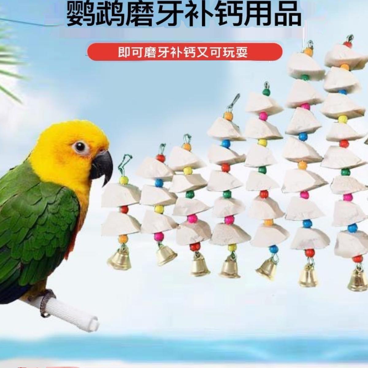 鹦鹉墨鱼骨补钙磨牙虎皮玄凤牡丹乌龟零食磨嘴啃咬玩具用品