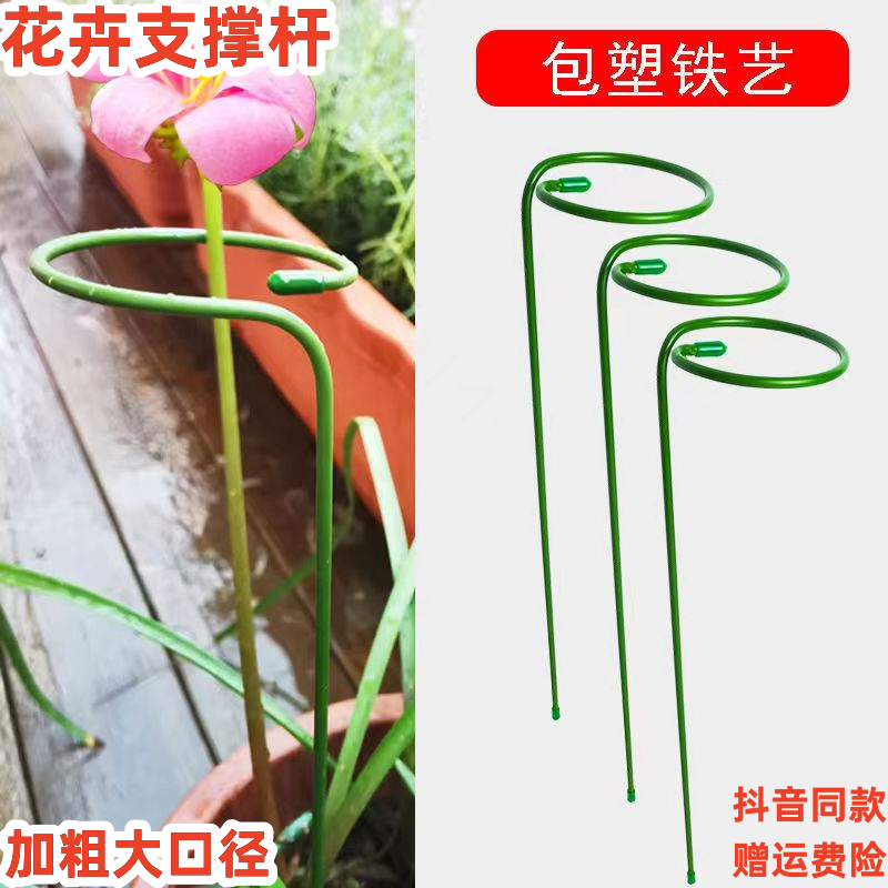 花架爬藤架子花盆植物蟹爪兰月季铁线莲小支架攀爬架花支架支撑杆
