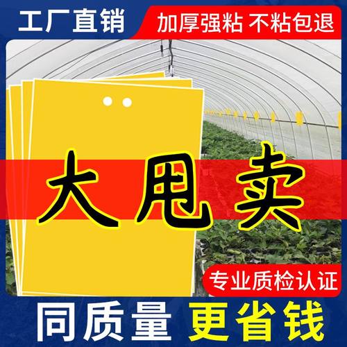 双面粘虫板诱虫粘针锋蓟马小黑飞