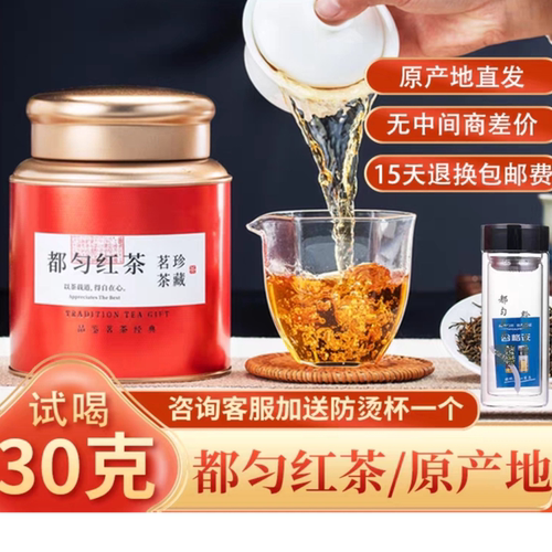 红茶都匀毛尖新茶上市