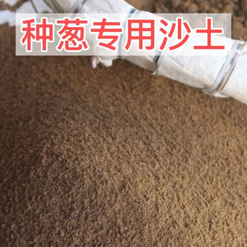 种葱专用土疏松透水不板结护葱拥葱埋葱保存葱专用沙壤土