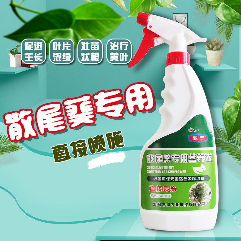 散尾葵专用营养液叶片浓绿长势旺盛防治黄叶营养全面免稀释,鲜花速递/花卉仿真/绿植园艺,介质/营养土,淘宝优惠券,粉丝福利购,淘宝优惠卷