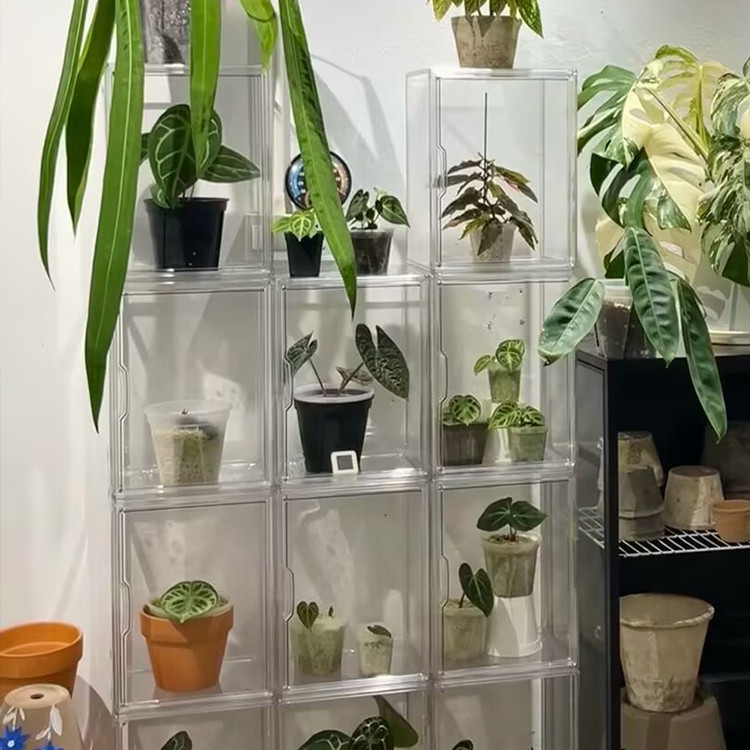 简约现代亚克力拆装多层组合植物