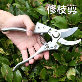 进口钢修枝剪园林果树剪粗枝花剪强力粗枝剪省力树枝修花园艺剪刀
