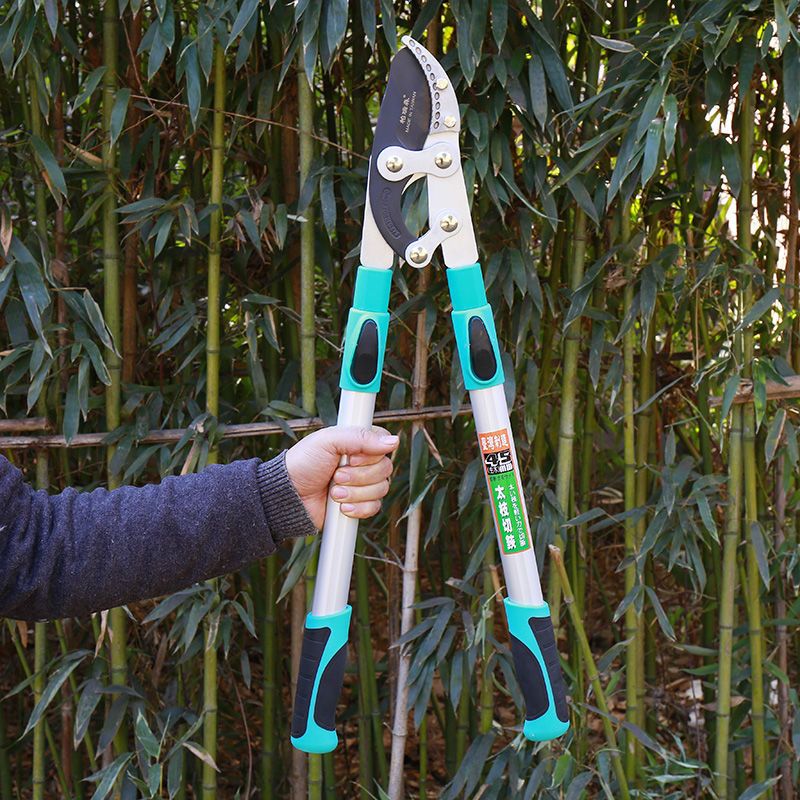 粗枝剪果树树枝修枝剪伸缩强力省力大力剪高枝剪园艺园林大剪刀