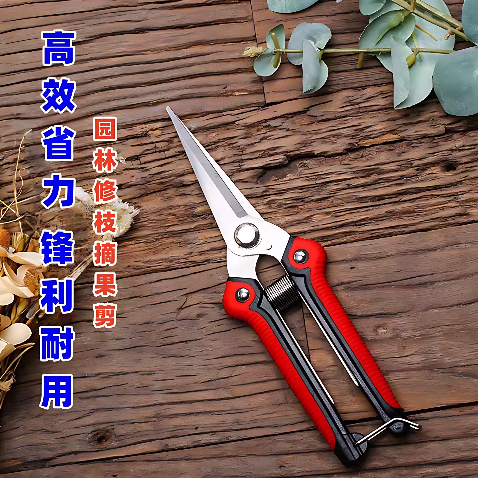 树枝采果修枝剪刀不锈钢园艺工具