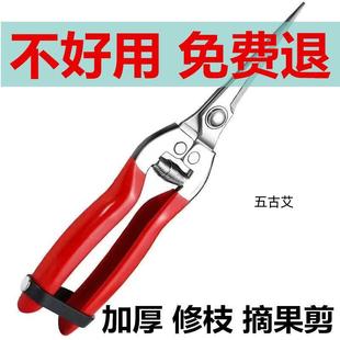 不锈钢稀果剪水果花枝花卉剪刀葡萄剪花椒剪摘花摘果剪刀树枝修剪