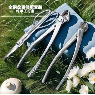 树枝剪园艺盆景工具球节剪刀不锈钢叶芽专用手工球形修剪套装造型