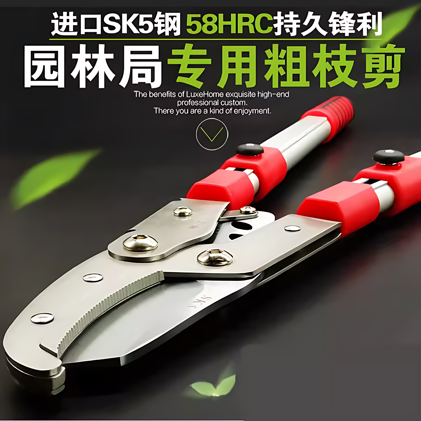 修枝剪高枝剪园艺伸缩大剪刀图片
