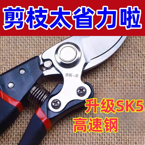 德国品质修枝剪树子强力果家用葡