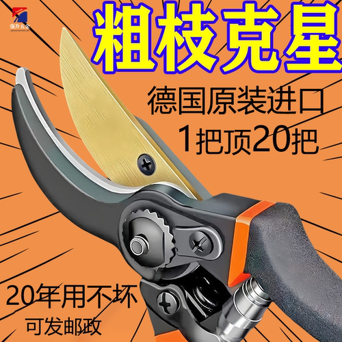 德国原装进口修枝剪新款园林果树
