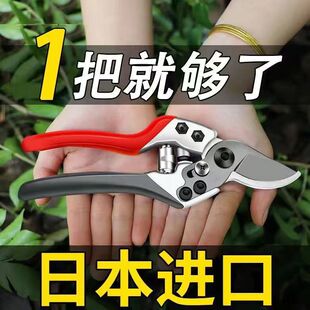 VVT修枝剪园林园艺树枝剪省力型SK5强力家用花枝果树剪刀 新款