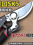果树剪 采购产品新型钢质修剪剪刀 花枝剪 水果枝剪 园 枝剪