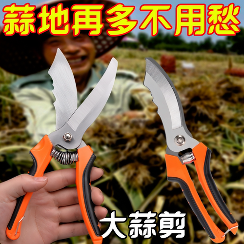 新款大蒜专用剪刀根头胡葱生姜洋