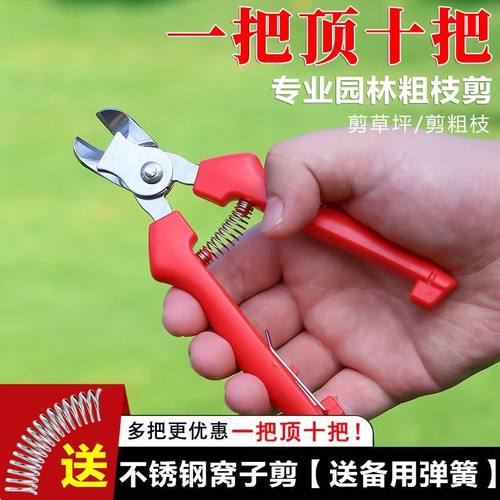 橘子采摘剪水果果柄凹形修枝剪刀不锈钢窝型摘果剪番茄苹果专用剪