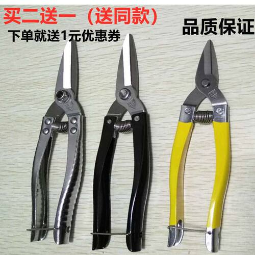 广东正品罗定不锈钢果剪采砂糖橘小黄剪刀摘果剪小大号圆头果子剪