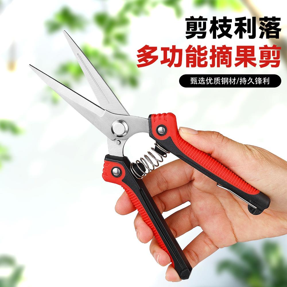 德国进口果树剪刀剪枝不锈钢尖头摘果剪修枝剪果枝蔬果剪花艺剪子