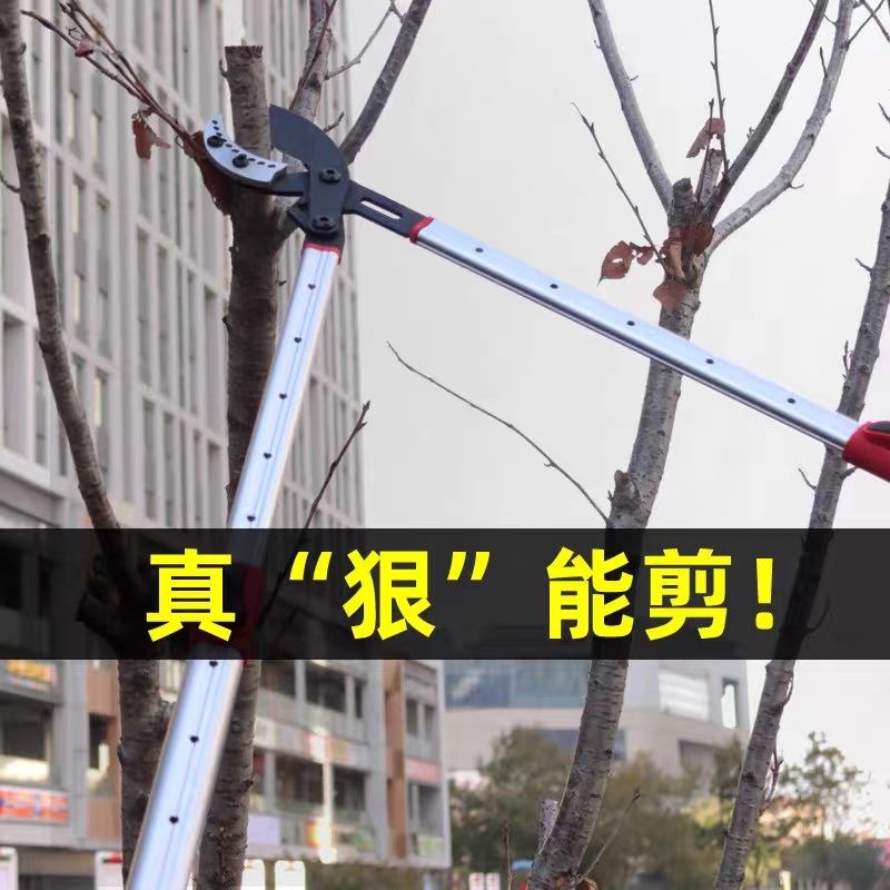 园林剪枝剪刀剪树枝修剪园艺专用果树修枝粗枝剪大力剪大剪子强力图片