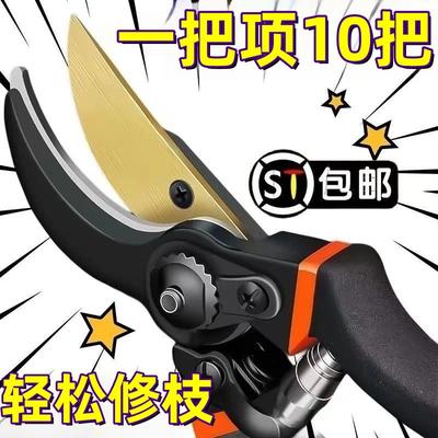 德国进口强力修枝剪刀树枝修剪园林花枝剪子园艺粗枝剪刀剪枝木工