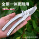 全不锈钢304全钢强力修枝剪修剪果树剪枝专用园林剪粗枝花艺剪刀