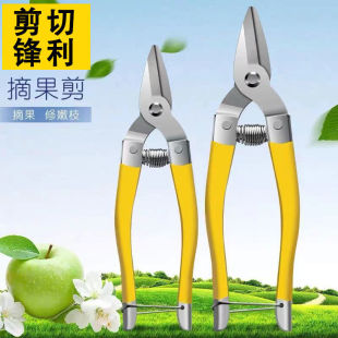 修枝剪修花剪刀枝剪采果园艺家用柑橘桔子刀剪葡萄剪摘果剪花椒剪
