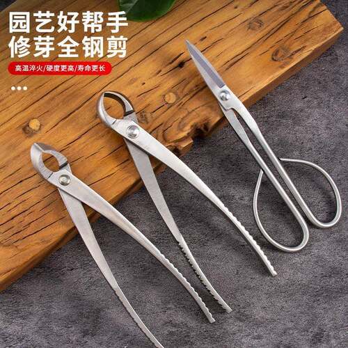 盆景修剪刀专用球节剪园林盆栽修枝剪斜口钳拉丝钳园艺工具断丝钳
