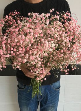 满天星勿忘我干花花束家居摆设客厅装饰摆件永生花鲜花情人节大束