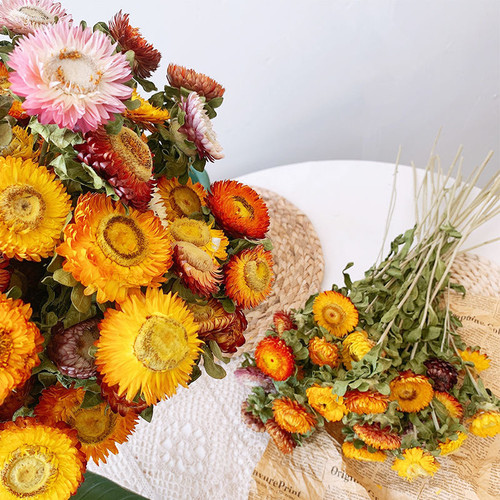 云南小雏菊干花花束客厅摆设向日葵干花真花装饰摆件ins风干