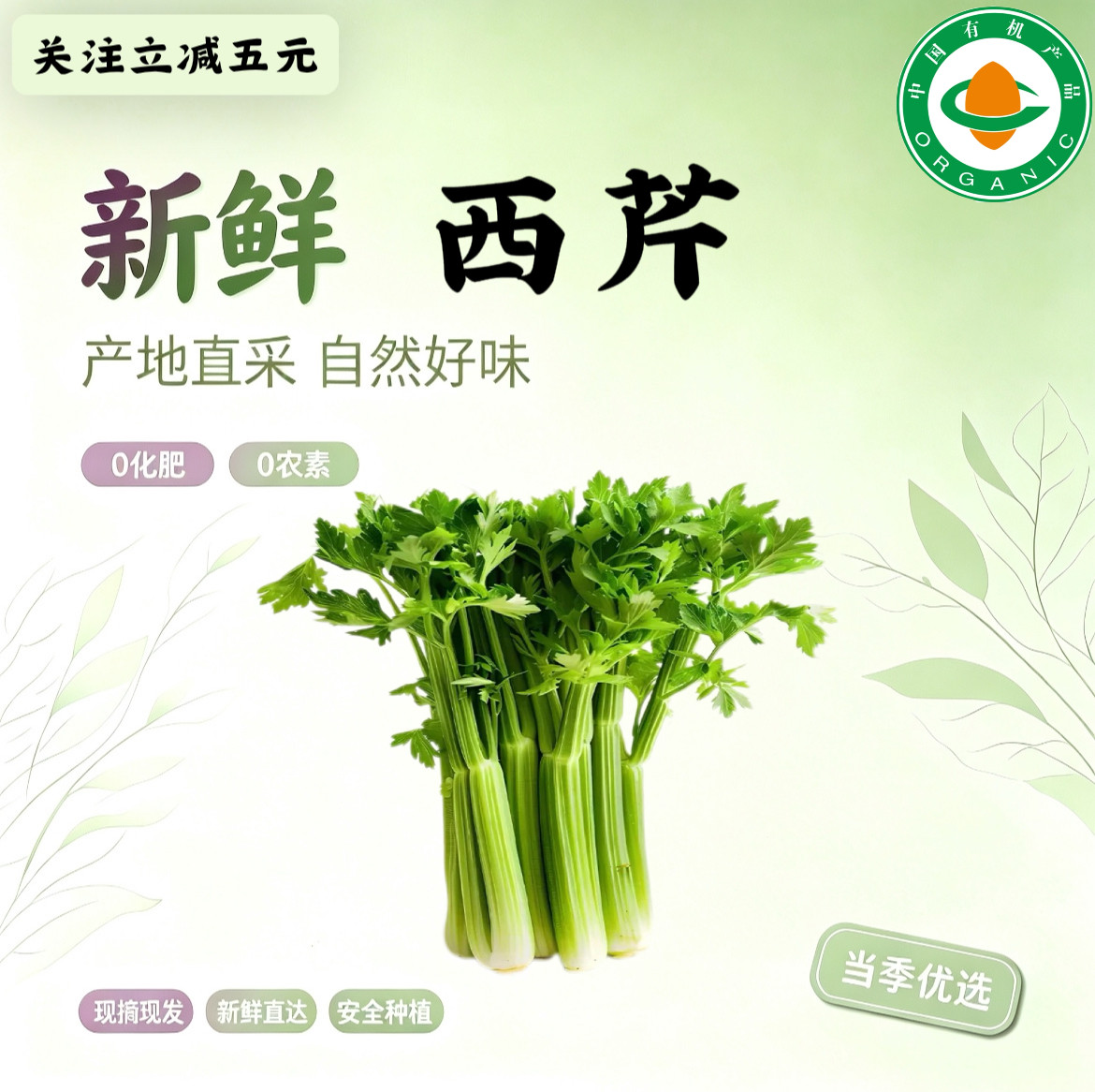5斤有机西芹 有机认证 新鲜0农药自然本味现摘现发直达 月卡优惠