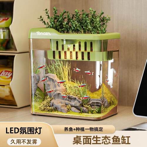 2026新款桌面鱼缸小型造景养虾缸