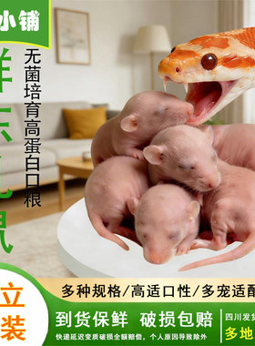 冷冻乳鼠宠物蛇饲料冻鼠小白鼠