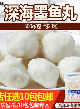 浩洋深海墨鱼丸速冻半成品油炸火锅关东煮咖喱花枝丸500克约23粒