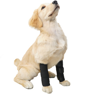 宠它宠物护腿老年犬肘部关节保护套术后伤口防添宠物绑带用品批发