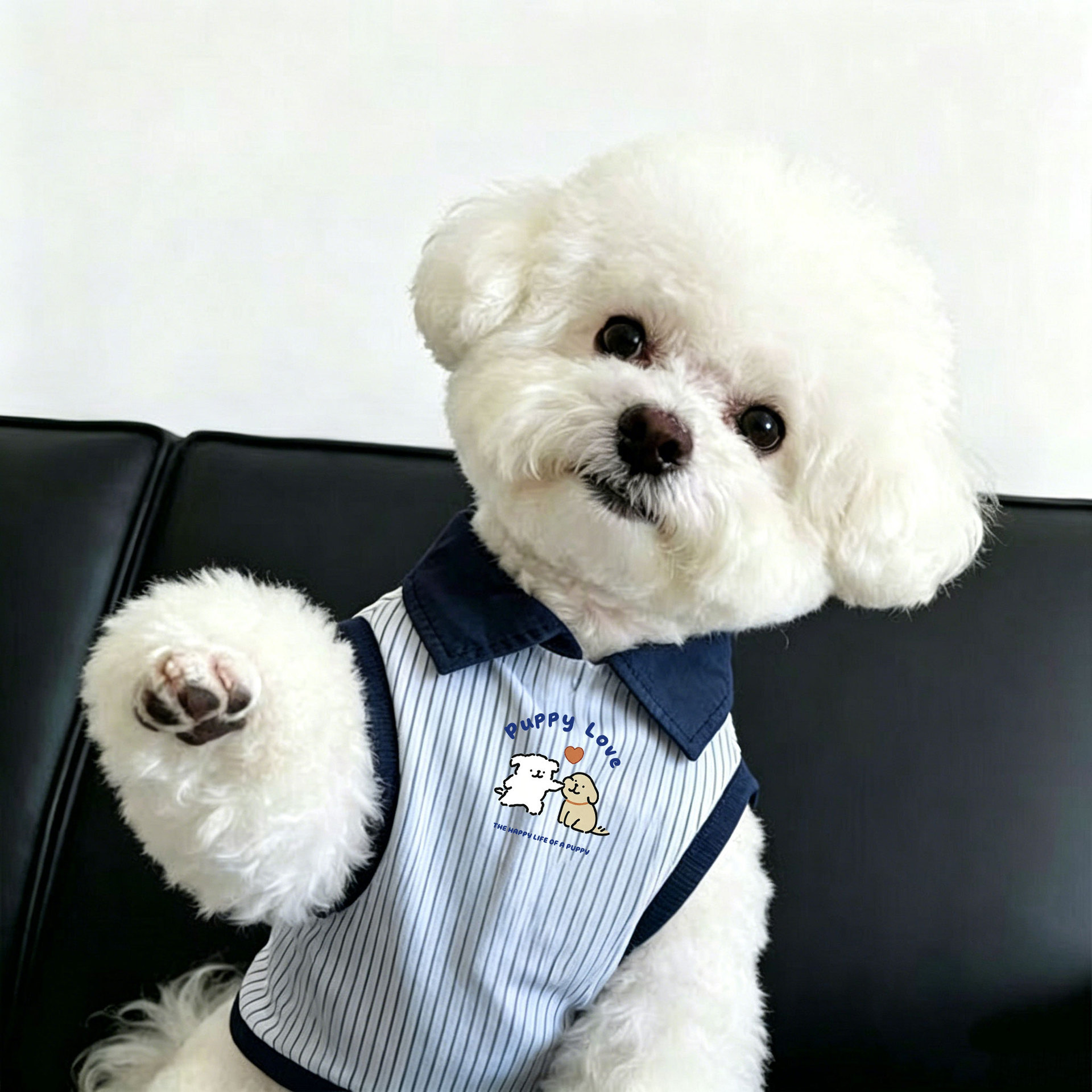 跨境新款宠物比熊小型犬宠物背心狗狗猫咪条纹POLO领透气衣服泰迪