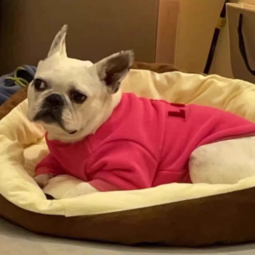 狗狗衣服可爱草莓熊款保暖加绒卫衣英法斗泰迪恶霸犬巴哥胖狗冬装