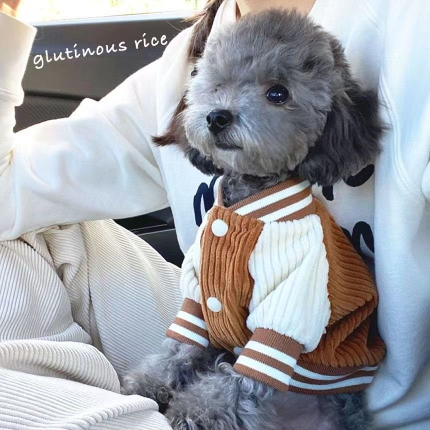宠物衣服ins风网红款狗狗夏季薄款棒球服泰迪比熊小型犬猫咪衣服