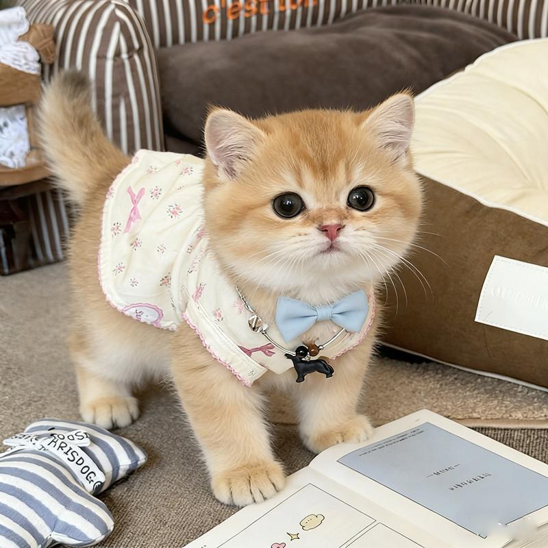猫咪衣服夏季新款小型幼犬布偶猫金渐层幼猫可爱碎花背心连衣裙子