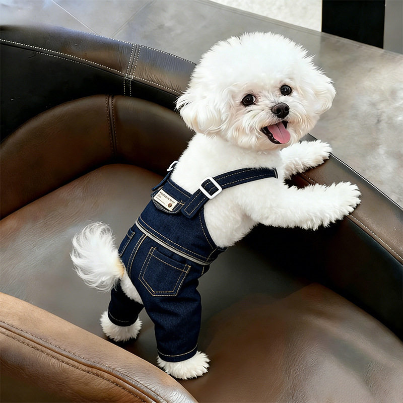 狗狗夏天薄款衣服春季小型犬春夏宠物用品背带裤四脚衣比熊高颜值