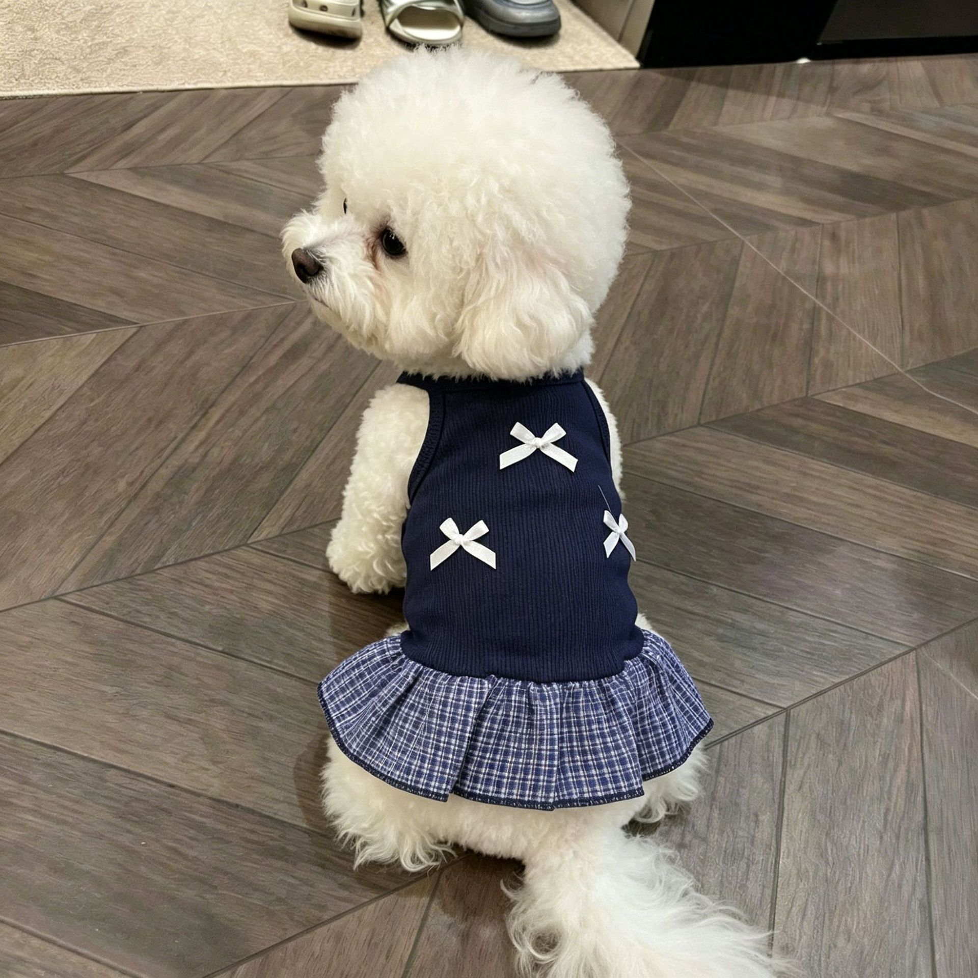 狗狗衣服春夏季薄款一件代发透气吊带防掉毛背心裙小型犬猫咪衣服