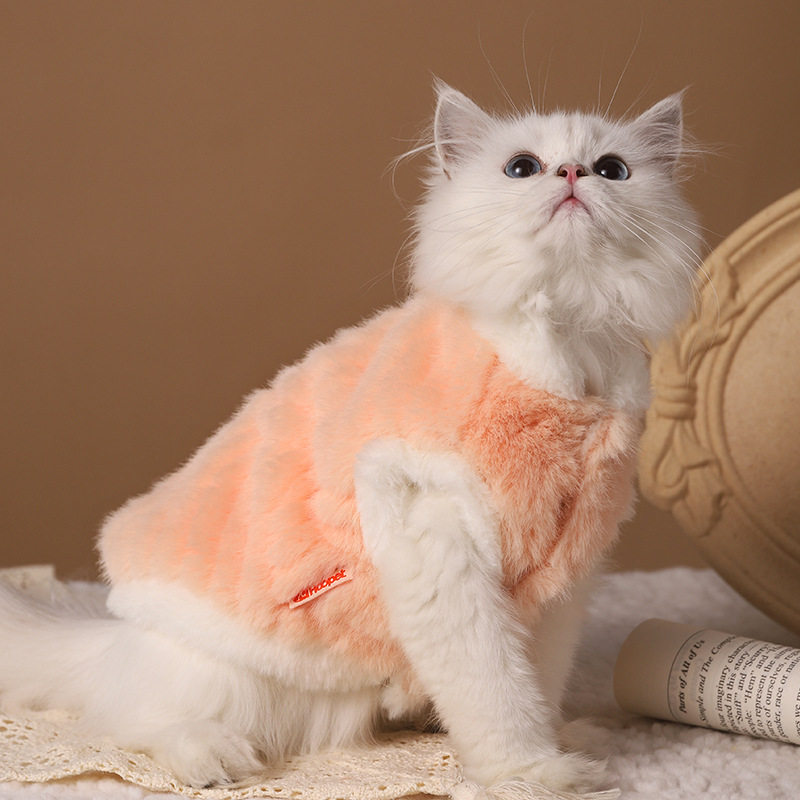 猫咪衣服冬季保暖布偶小猫棉衣银渐层蓝猫幼猫防掉毛加绒两脚冬装