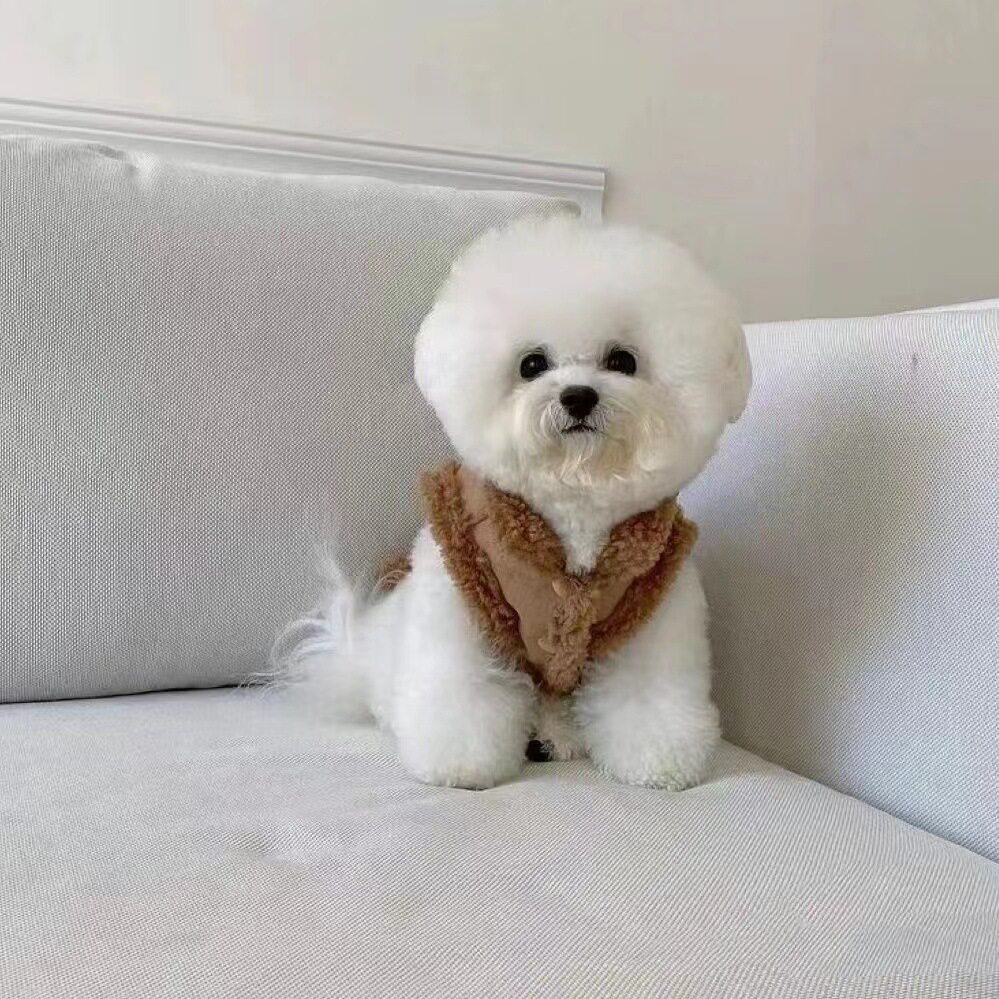 可牵引加绒狗狗衣服冬装宠物泰迪小狗小型犬比熊博美猫咪衣服秋冬