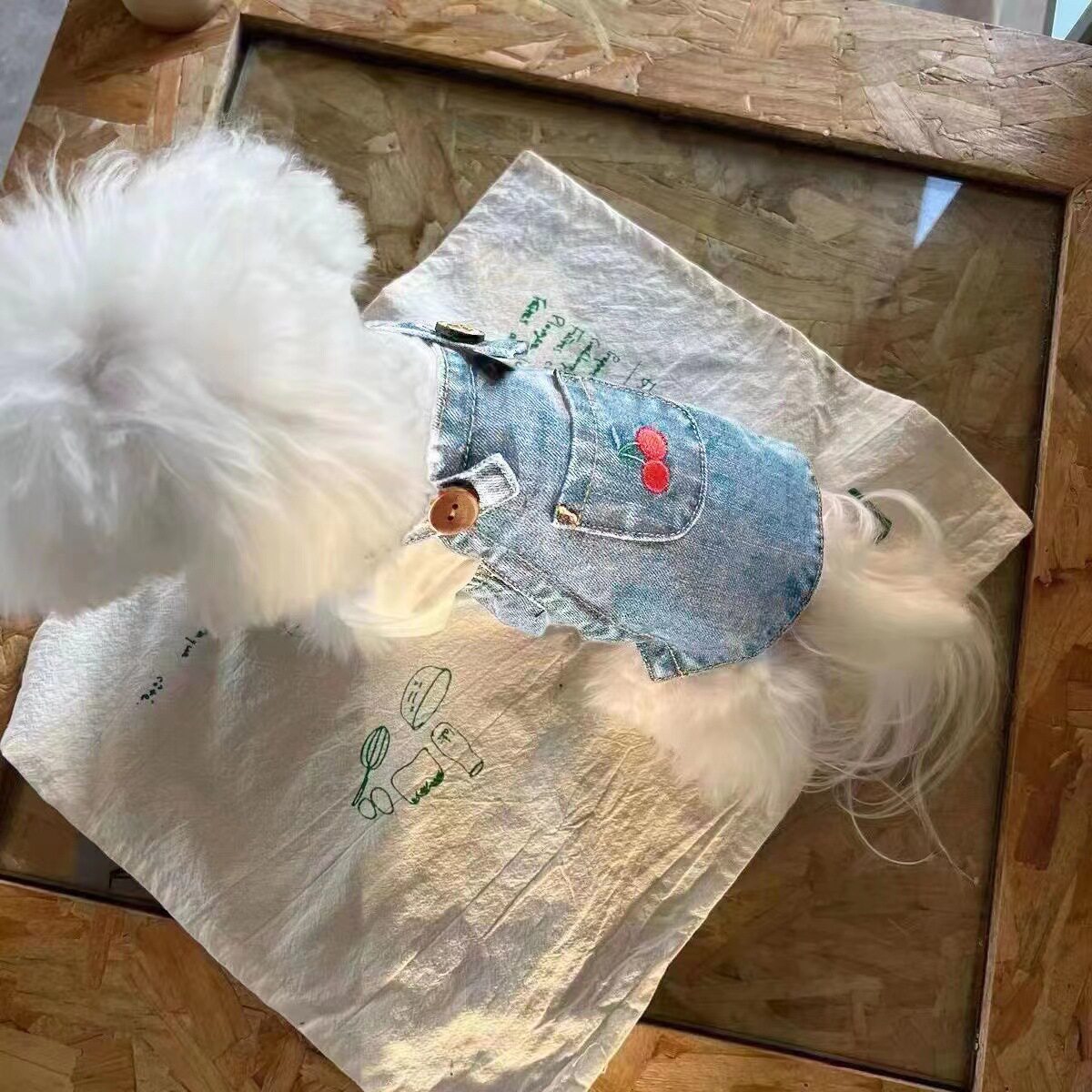 新款狗狗宠物猫咪牛仔裙子用品泰迪比牛仔裙子熊春夏小型犬衣服用