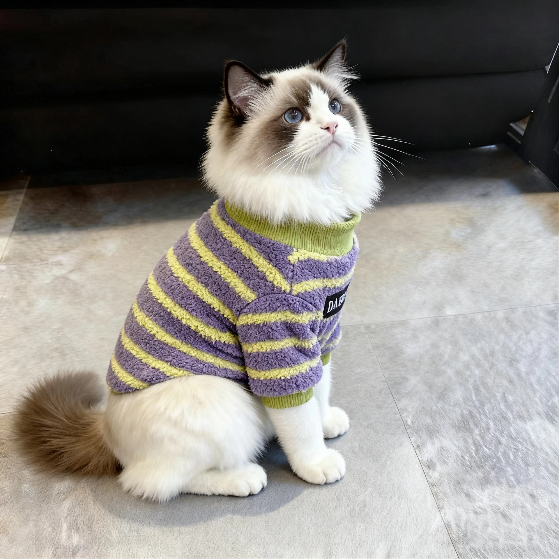 宠物猫咪衣服冬天季保暖加绒卫衣布偶小猫德文英短幼猫防寒两脚衣